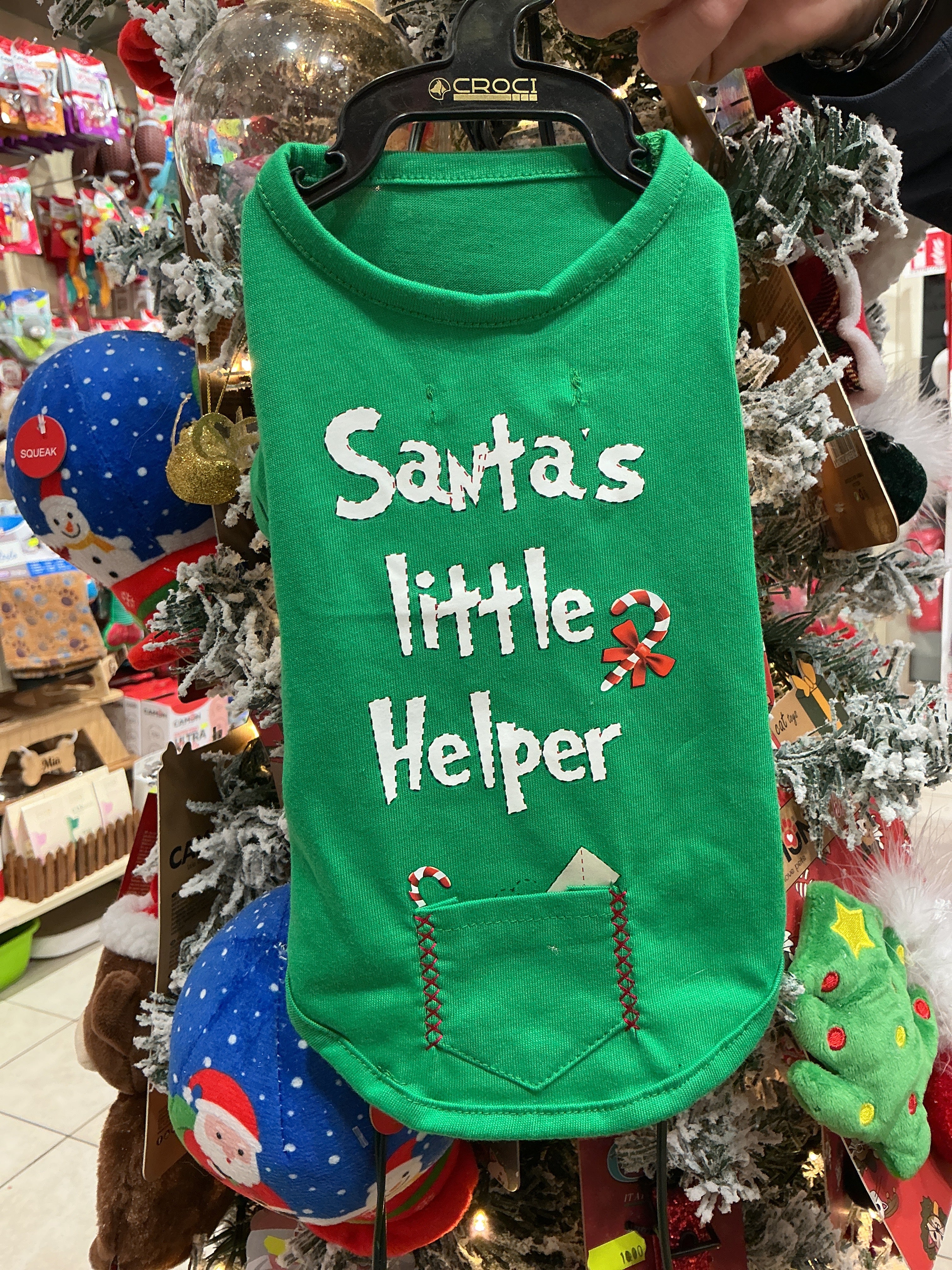 Maglia natalizia per cani lettera di babbo Natale CROCI