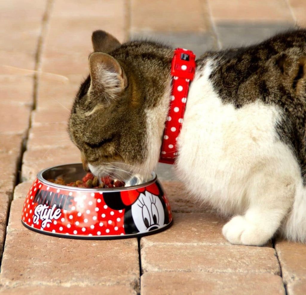 Ciotola cane e gatto Disney Minnie Mouse M