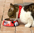 Ciotola cane e gatto Disney Minnie Mouse M