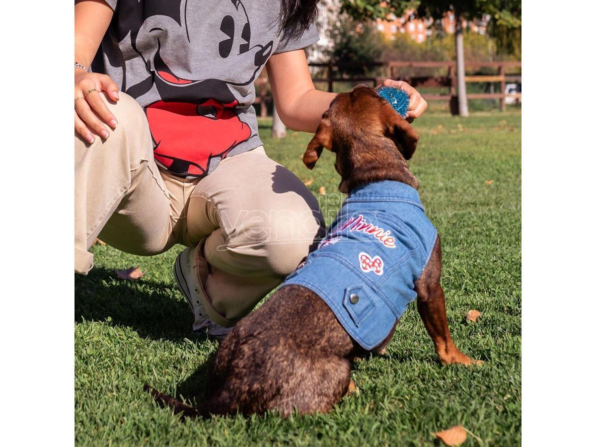 Giubbino cane jeans minnie xxs Disney