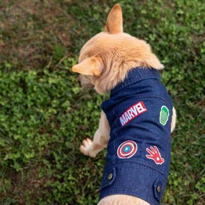 Giubbino cane jeans Marvel S