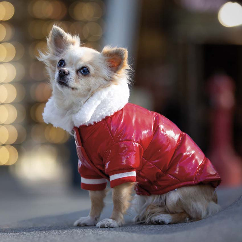 Giubbino imbottito per cani christmas red snow CROCI