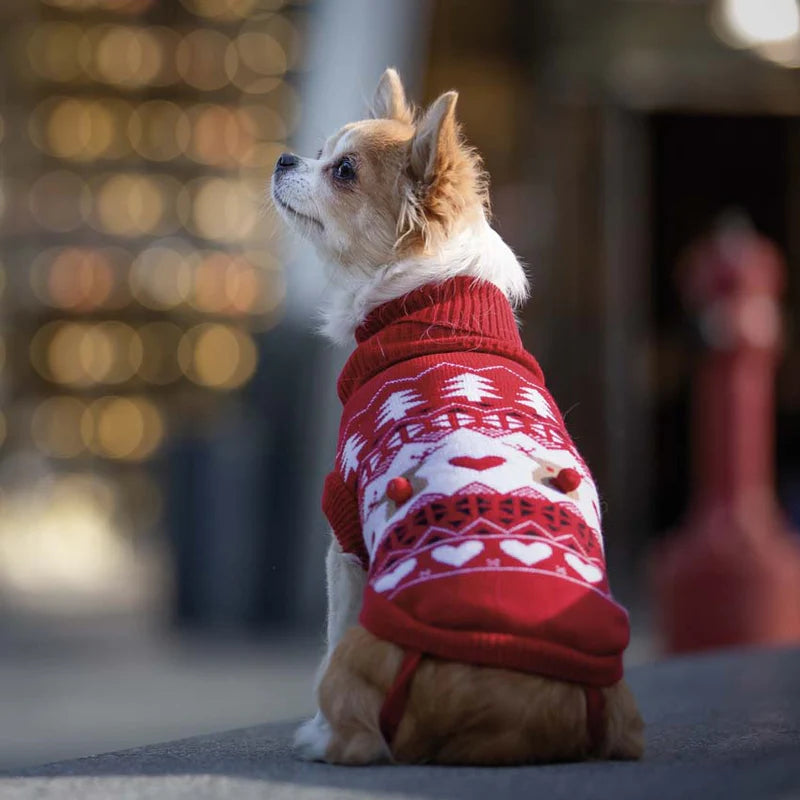 Maglione per cani natalizio CROCI