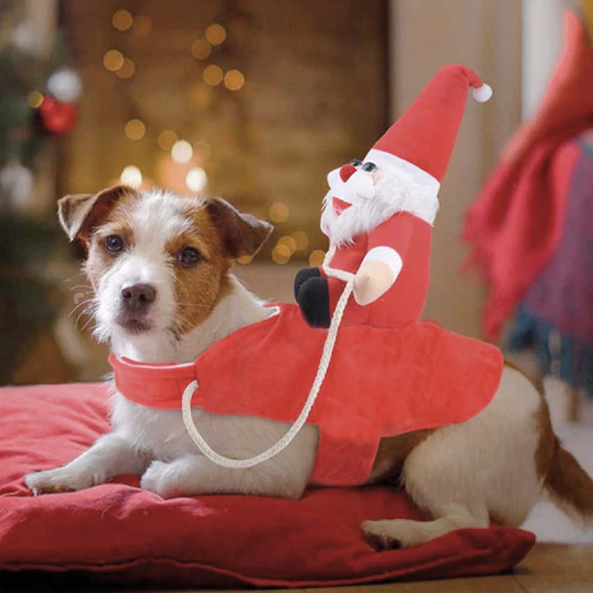 Pettorina per cani natalizia con Babbo Natale CROCI