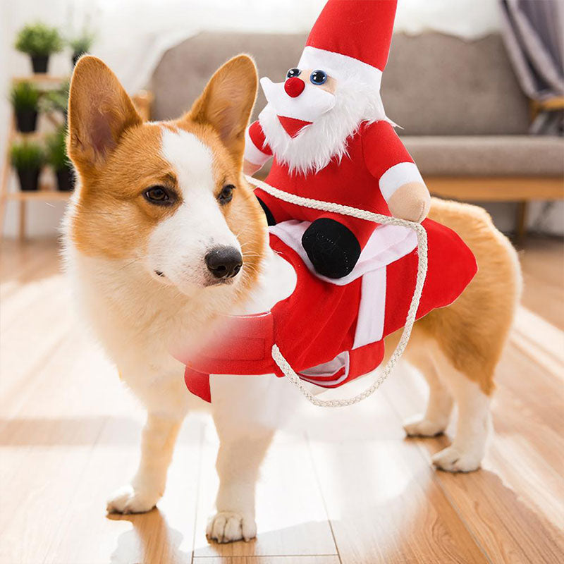 Pettorina per cani natalizia con Babbo Natale CROCI