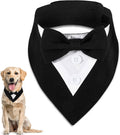 Papillon elegante per cani CROCI 47/70 cm