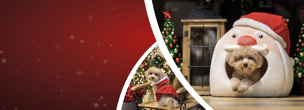 Cuccia per cani e gatti babbo Natale CROCI